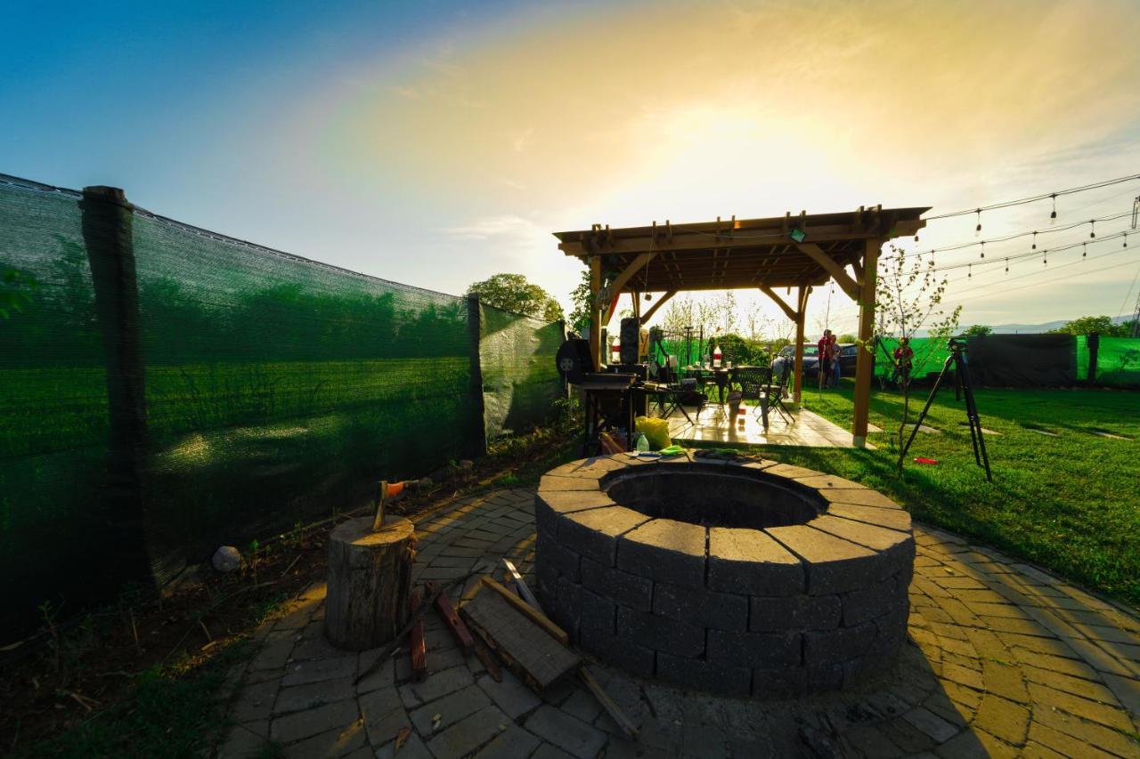 Hotel Tiny House - Baia De Fier Zewnętrze zdjęcie