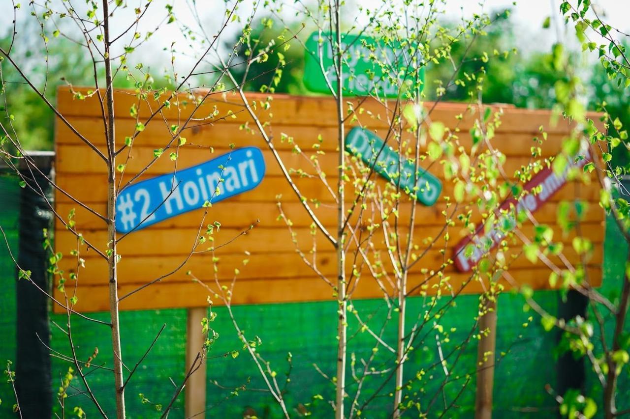 Hotel Tiny House - Baia De Fier Zewnętrze zdjęcie