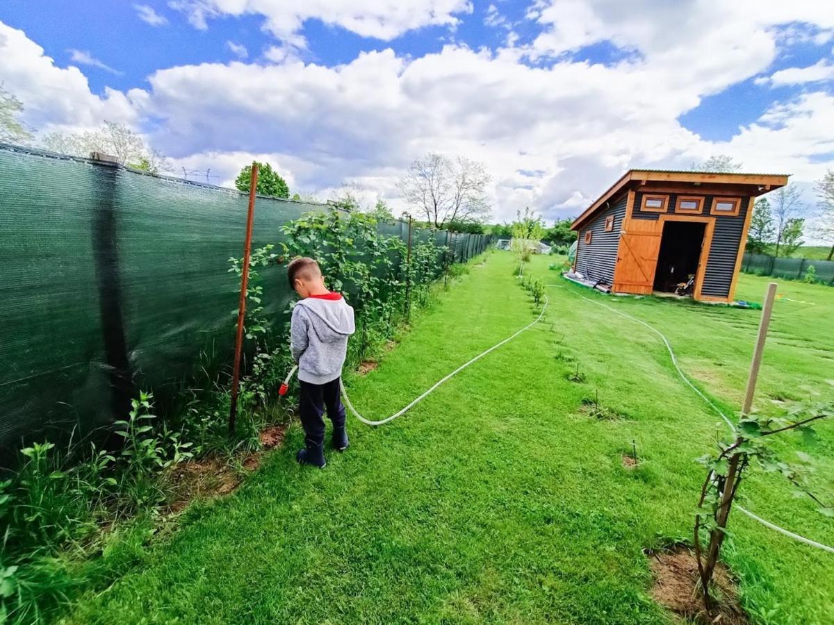 Hotel Tiny House - Baia De Fier Zewnętrze zdjęcie
