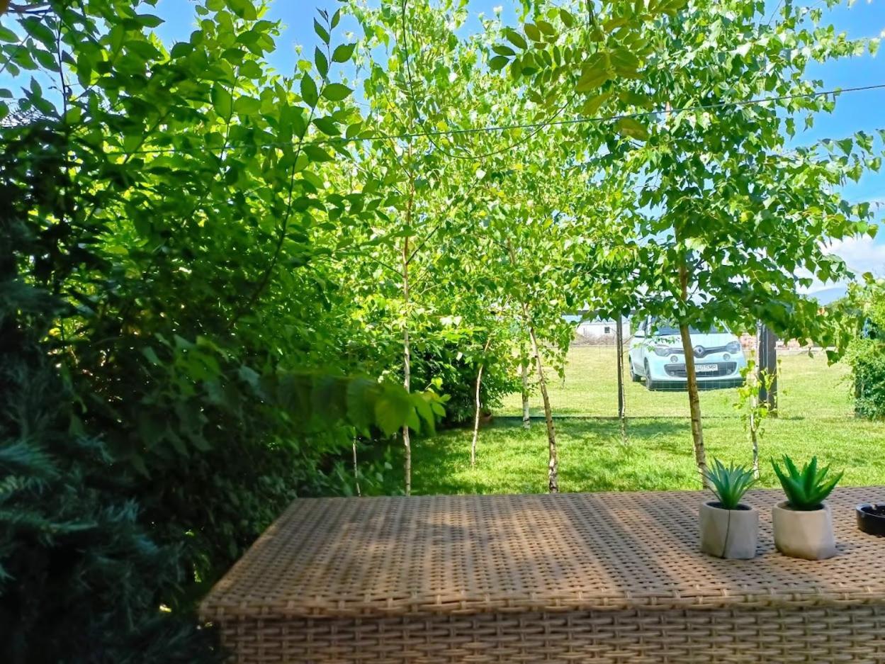 Hotel Tiny House - Baia De Fier Zewnętrze zdjęcie